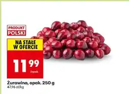 Biedronka Żurawina opak 250 g oferta