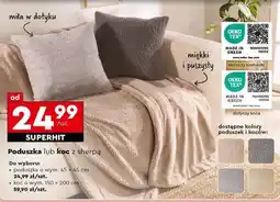 Biedronka Poduszka lub koc z sherpa oferta