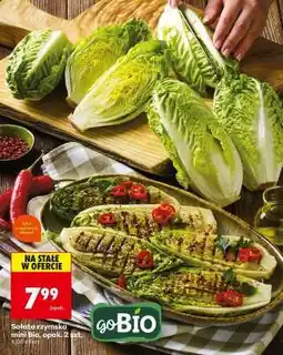 Biedronka Sałata rzymska mini Bio, opak. 2 szt oferta