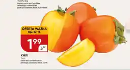 Chata Polska Kaki oferta
