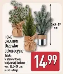 ALDI Drzewko dekoracyjne Home Creation oferta