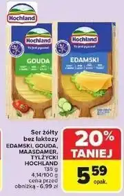 Carrefour Ser tylżycki plastry Hochland oferta