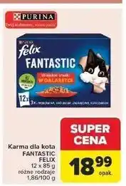 Carrefour Karma dla kota wiejskie smaki Purina Felix Fantastic oferta