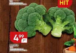 Chata Polska Brokuł oferta