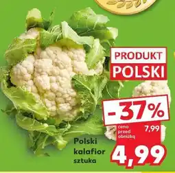 Kaufland Kalafior polski Kaufland oferta