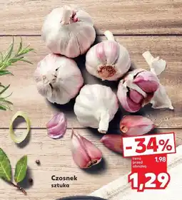 Kaufland Czosnek sztuka Kaufland oferta