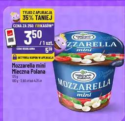 Polomarket Ser mozzarella mini Mleczna Polana oferta