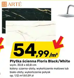 Bricomarche Płytka ścienna Floris Black/WhitePłytka ścienna Floris Black/White wym. 30,8 x 60,8 cm ARTÉ oferta