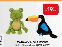 AquaelZOO Zabawka dla psa Have a Pet oferta
