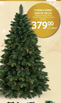 Selgros Choinka Dakota oferta