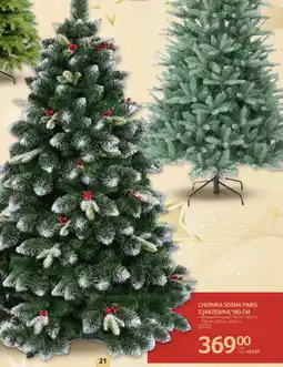 Selgros Choinka Parys oferta