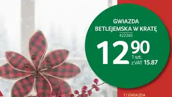 Selgros Gwiazda betlejemska oferta