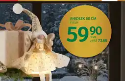Selgros Aniołek oferta