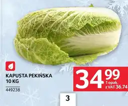 Selgros Kapusta pekińska oferta