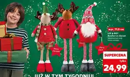 Kaufland Renifer Liv & BO oferta