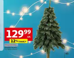 Auchan Choinka oferta