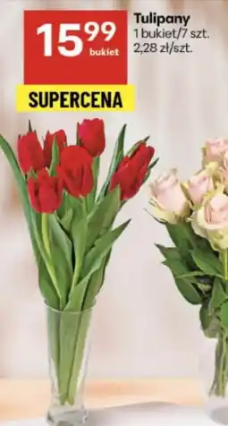 Delikatesy Centrum Bukiet tulipanów Tulipany oferta