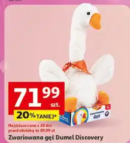 Auchan Zwariowana gęś Dumel oferta