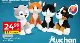 Auchan Kotek pluszowy One Two Fun oferta