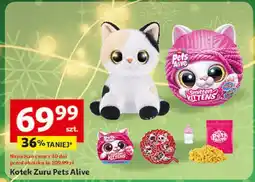 Auchan Pluszowy kotek interaktywny Zuru Pets Alive oferta