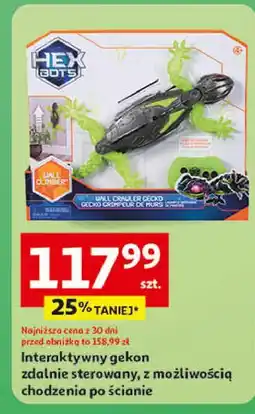 Auchan Gekon interaktywny Hex oferta