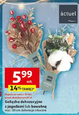 Auchan Gałązka dekoracyjna z bawełną 20 cm Actuel oferta