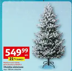 Auchan Choinka ośnieżona 210 cm oferta