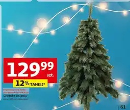 Auchan Choinka na pniu 180 cm oferta