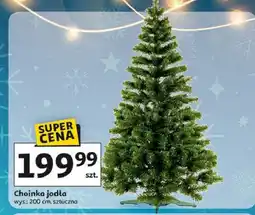 Auchan Choinka jodła 200 cm oferta