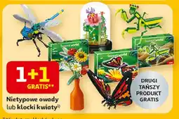 Auchan Klocki kwiaty Qbi oferta