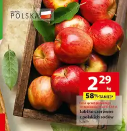 Auchan Jabłka czerwone polskie oferta