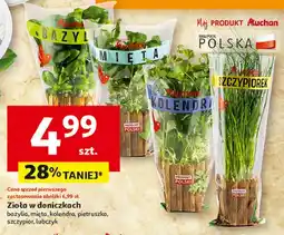 Auchan Szczypiorek Auchan Różnorodne (Logo Czerwone) oferta