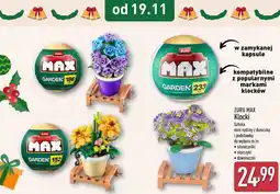 ALDI Klocki słonecznik Zuru oferta