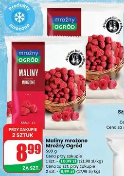 Dino Maliny mrożone Mrożny Ogród oferta