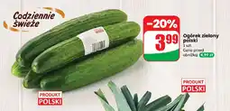Dino Ogórek zielony polski Dino oferta