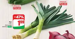 Dino Por Dino oferta