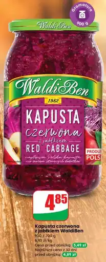 Dino Kapusta czerwona z jabłkiem WaldiBen oferta