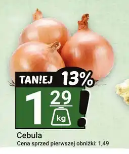 Hitpol Cebula Hitpol oferta