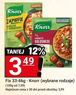 Hitpol Fix 33-46g - Knorr (wybrane rodzaje) oferta
