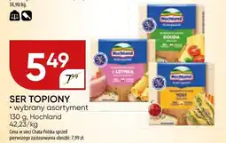 Chata Polska Ser topiony wybrany asortyment Hochland oferta
