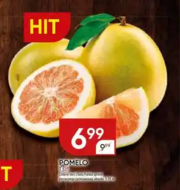 Chata Polska Pomelo Chata Polska oferta
