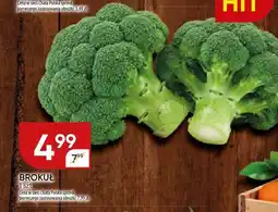 Chata Polska Brokuł Chata Polska oferta