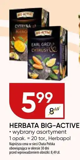 Chata Polska Herbata Big-Active oferta