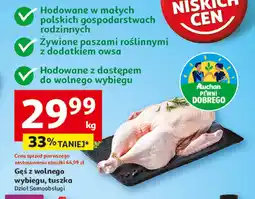 Auchan Gęś z wolnego wybiegu, tuszka Auchan oferta