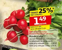 Auchan Rzodkiewka pęczek Auchan oferta