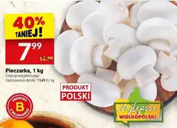 Twój Market Pieczarka, 1 kg Twój Market oferta