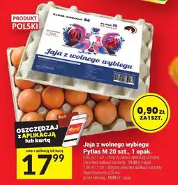 Twój Market Jaja z wolnego wybiegu Pytlas M, 20 szt., 1 opak oferta