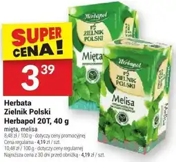 Twój Market Herbata Zielnik Polski Herbapol 20T, 40 g oferta
