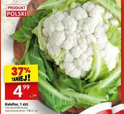 Twój Market Kalafior, 1 szt. Twój Market oferta