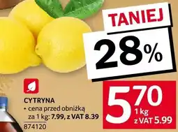 Selgros Cytryna Selgros oferta